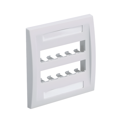 CFPE10IW-2GY - Placa de Pared Vertical / 10 Puertos Mini-Com / Etiquetas con Cubierta / ABS Impacto / Blanco Mate