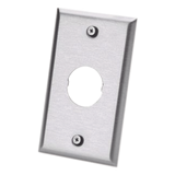 IAEFP1 - Placa de Pared Industrial / 1 Puerto / Acero Inoxidable / Montaje Vertical / Superficie Plana