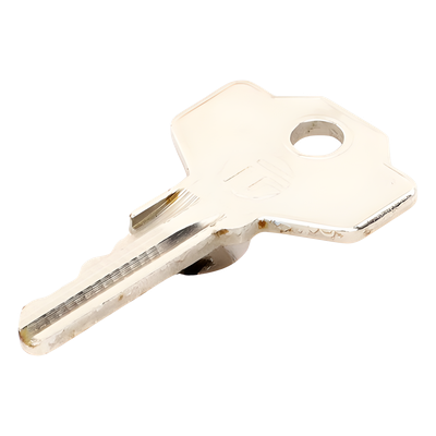 88003-0064 - Llave Codificada / Sistema GT4-GX4 / Anclaje GARD GGT40AGS / Control de Acceso Vehicular