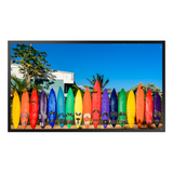 OM55B - Pantalla Profesional LED 55" para uso en ventanales, HDMI