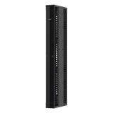 PE2VD12 - Organizador Vertical de Cables / Doble Cara Frontal y Posterior / 45U / 12in Ancho / Racks 2-Post y 4-Post