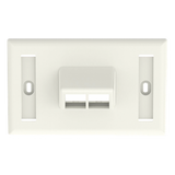 NK2HSFIWY - Placa de Pared Horizontal / 2 Puertos Keystone / Blanco Mate / 2.75 x 4.5 pulg.