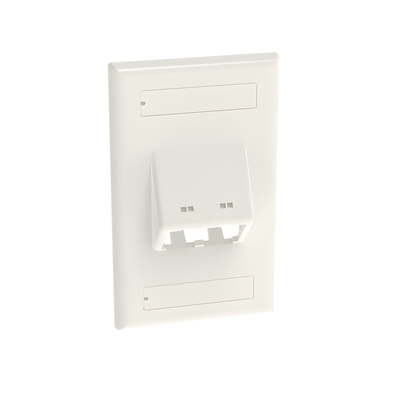 CFPSL2WHY - Placa de Pared Vertical / 2 Puertos Mini-Com Inclinados / ABS / 2.75 x 4.5 in / Con Etiquetas / Blanco