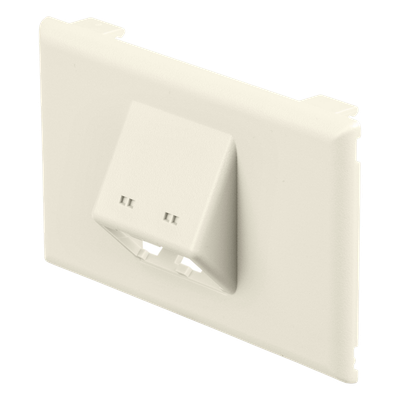 T70FH2IW - Placa de Pared Horizontal / 2 Puertos Mini-Com / 69.8 x 114.3 mm / PVC / Blanco Mate / ROHS