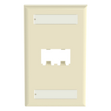 CFPL2EIY - Panduit Placa de Pared Vertical / 2 Puertos Mini-Com / Diseño Plano CFPL2EIY