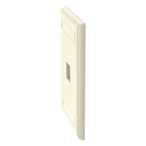 NK1FEIY - Panduit Placa de Pared Vertical / 1 Puerto Keystone / 69.8x114.3 mm NK1FEIY