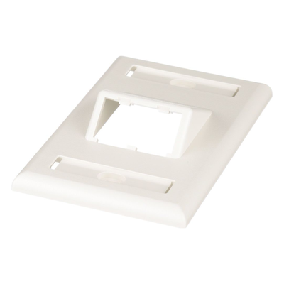 CFPSL2IWY - Placa de Pared Vertical / 2 Puertos Mini-Com Inclinados / ABS / Blanco Mate / Con Etiquetas