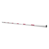 XBS-ARM - Mástil Iluminado LED / 5 m (16.4 ft) / Rojo/Verde / 12 VDC / 2 A / Barreras Industriales