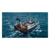 UM-385 - Radio Móvil Marina VHF / 25W / 1W Seleccionables / DSC Clase D con GPS / IPX4 / Monitoreo Triple Canal / Pantalla LCD / Blanco