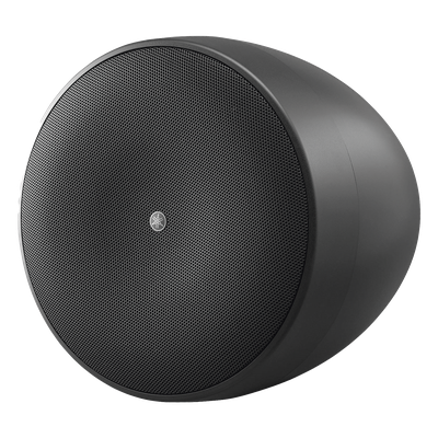 VXH6B - Altavoz Colgante / 6.5 in / 2 Vías / 300W / 8 Ohms / 70V/100V / 120° Dispersión / Negro
