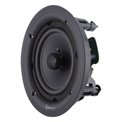 PP6ELEMENT - Truaudio Altavoz de 2 vías para exteriores / 6.5" woofer polipropileno / 1" tweeter seda
