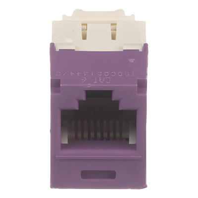 CJ688TGVL - Conector Jack RJ45 / Categoría 6 / 8P8C / Sin herramienta de impacto / Violeta / -10°C a 65°C