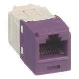 CJ688TGVL - Conector Jack RJ45 / Categoría 6 / 8P8C / Sin herramienta de impacto / Violeta / -10°C a 65°C