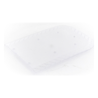 Z67-DLW - Domo lateral de reemplazo / Policarbonato transparente / Compatible X67A / Resistente UV e impactos