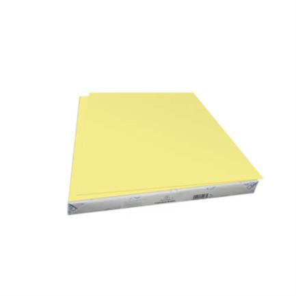 Cartulina Euromac Bristol Amarilla 50X65 Pqt/100H - Wa0021 FullOffice.com