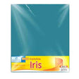 Cartulina Euromac Iris Azul Turq 50X65Cm C/10 - Ei0038 FullOffice.com