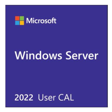 Licencia Microsoft Windows Server Cal 2022 Español 1Pk Dsp Oei 5 Clt User - R18-06476